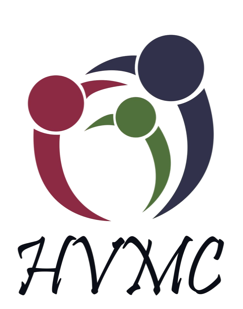Health Vision Medical Center LLC Logo